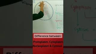 Protoplasm vs Cytoplasm vs Nucleoplasm vs Cytosol  apnasapnajrf [upl. by Donaugh523]