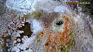 GEYSERS CHILE BOLIVIA El Tatio amp Sol de Manana fumaroles [upl. by Ihtak885]