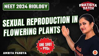 Sexual Reproduction in Flowering Plants in One Shot  NEET 2024 Biology  Pratigya Batch [upl. by Dnanidref984]