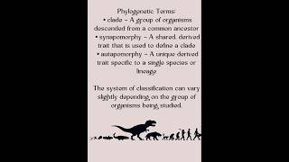 TAXONOMY amp CLASSIFICATION OF BIOLOGY ABBREVIATIONS facts generalknowledge education shorts [upl. by Turrell]