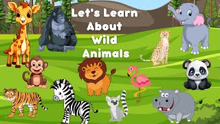 Little Zoologists Learning About Animals for Kids  Animals And Their Habitat [upl. by Oisor]