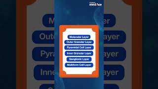 Click Flip and Voila  ManipalMedAce  Flashcard Feature  Easy Learning [upl. by Ginsberg]