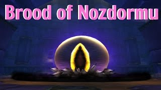 Get Exalted with Brood of Nozdormu  Wotlk and Dragonflight relevant [upl. by Filberto]