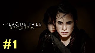 a plague tale requiem 1bölüm [upl. by Phipps]