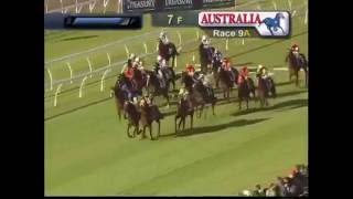 2016 STRADBROKE HANDICAP  Under The Louvre [upl. by Conney92]