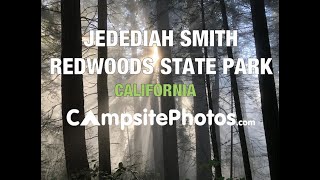 Jedediah Smith Redwoods State Park California [upl. by Conall]