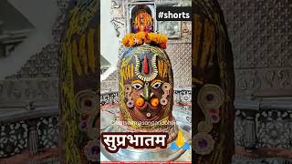 Mahakal status 💫shorts bhaktisong song trending mahakal mahadev status short youtubeshorts [upl. by Corel914]