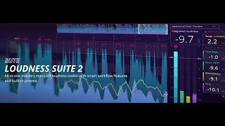 Signum Audio  BUTE Loudness Suite 2  Smart Loudness Toolkit [upl. by Mihalco]