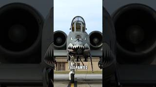 Why Does The A10 Warthog Have A Shark Face [upl. by Sidoma94]