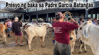 Update Prices Cattle Trading Capital Of the Philippines Padre Garcia Batangas Livestock Auction [upl. by Lednyc407]