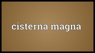 Cisterna magna Meaning [upl. by Zil]