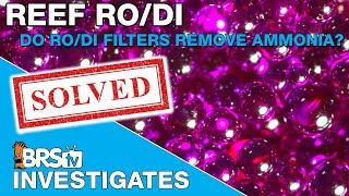 Do any of the RODI filter stages remove ammonia  BRStv Investigates [upl. by Nahgen]