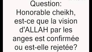 La vision dALLAH par les anges Cheikh Sâlih al Fawzan [upl. by Zenobia]