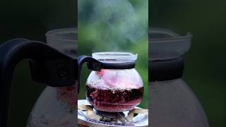 Refreshing Hibiscus Tea Recipe  Boost Your Health 🌺🍵 [upl. by Sadler]