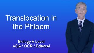 A Level Biology Revision quotTranslocation in the Phloemquot [upl. by Leihcey789]