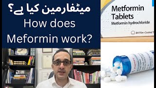 What is Metformin Medicine  Metformin medication kaisay kam karti ha [upl. by Haceber]