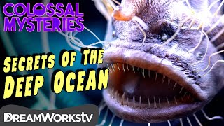 What’s Hidden Beneath the Ocean  COLOSSAL MYSTERIES [upl. by Nirrek]