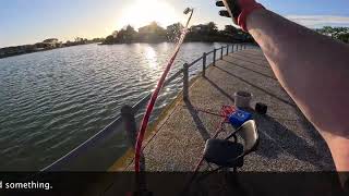 Mawson Lakes Magnet Fishing 9 November 2024 [upl. by Aelaza7]