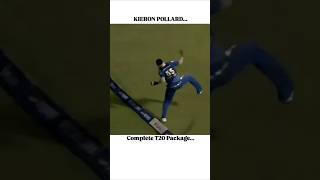 World cricket best catch cricket dangerous catch bestfielder catching classiccatch cricketing [upl. by Elberta]