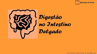 Digestão no intestino delgado [upl. by Ahsinrac]