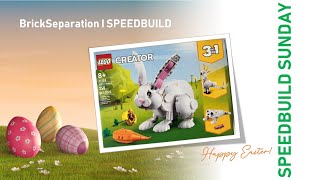 BrickSeparation l SPEEDBUILD SUNDAY I Happy Easter Edition [upl. by Thetos]