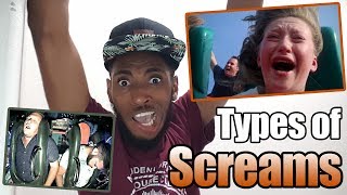 Types of Screams on Roller Coasters [upl. by Amme]