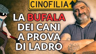 La BUFALA dei Cani a Prova di Ladro [upl. by Mosier904]