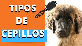 TIPOS DE CEPILLOS PARA PERROS [upl. by Mcclimans]