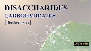 Lec 04 Disaccharides  Carbohydrates  Biochemistry [upl. by Lemaj]