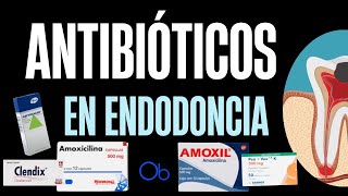 Antibióticos usados en Endodoncia 💊 🦷 [upl. by Jami]