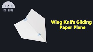 The worlds farthest gliding paper plane [upl. by Cordell]