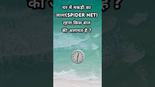 घर में मकड़ी का जालाspider net रहना किस बात की अलामत है   Islamic Sawal Jawab  Islamic Shorts [upl. by Yenruoj391]