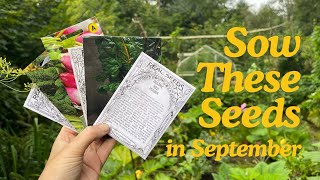 Seeds to Sow in September  Grow Homegrown Food Year Round [upl. by Eornom700]