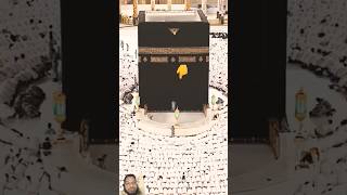 Masjid Al Haram salat namaz namaj viralnamaj sodesfarm viralvideo viralshorts trending [upl. by Hernando716]