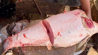 Giant Grouper Fish Cutting Skills Live In Bangladesh Fish Market  Fish Cutting Expert Shimul [upl. by Ianteen]