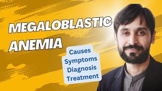 Megaloblastic Anemia  Causes  Symptoms  Diagnosis and Treatment  MLT Hub with kamran [upl. by Eldorado]