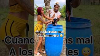 Cuando Tratas Mar a los Animales 😱🤣😥😡 Dios viral comedy comedia video humor [upl. by Aneetak]