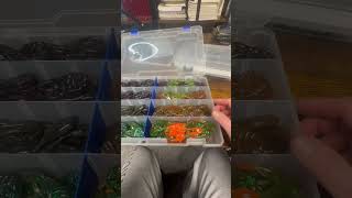 Tackle Room Organization shorts shortvideo bassfishing fishing tackle cleaning [upl. by Salita]