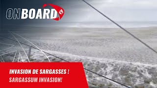 Invasion de sargasses pour Guirec Soudée  Vendée Globe 2024 [upl. by Auop]