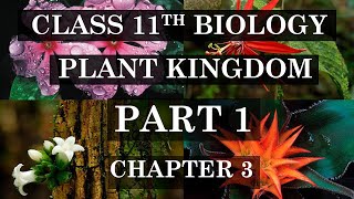 11th Class Biology  Chapter 3  Plant Kingdom Part 1  Cryptogamae  Phanerogamae  Angiosperm [upl. by Ellevehs9]