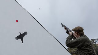 UK Pheasant Shooting  Filmed with ShotKam Gen 3 [upl. by Eiderf]