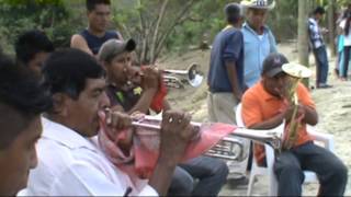 BANDA DE VIENTO DE CHALINGO HUAUTLA HGO [upl. by Bubb]