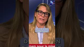 Virginie Joron RN nous livre les secrets des coulisses du Parlement européen shorts [upl. by Alamap]