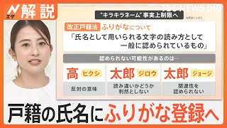 “キラキラネーム”が事実上制限に？ 「改正戸籍法」が2025年5月施工 全国民が戸籍の氏名にふりがな登録へ【Nスタ解説】｜TBS NEWS DIG [upl. by Tamas]