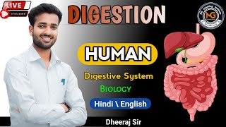 Digestion in human bydheerajsir upboard cbseboard mgcoachinginstitute [upl. by Wrdna]