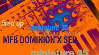 MFB DOMINION X SED  1st firing up  miniature 35 [upl. by Leonerd]