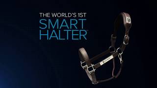 NIGHTWATCH  The Worlds First Smart Halter [upl. by Ecniuq]