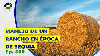 600 Manejo de un Rancho en Época de Sequía [upl. by Chevy]