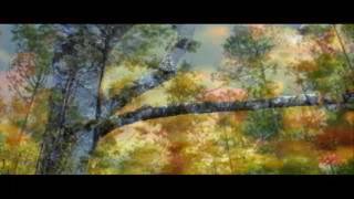 CLIP  Ouachita Mountains 01 [upl. by Glaab]