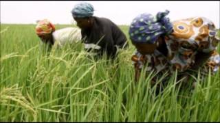 khawaaré Ngoyane Sénégal Medina Sabakh [upl. by Rowland862]